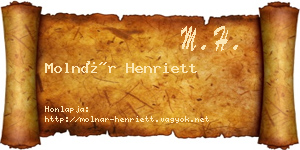 Molnár Henriett névjegykártya